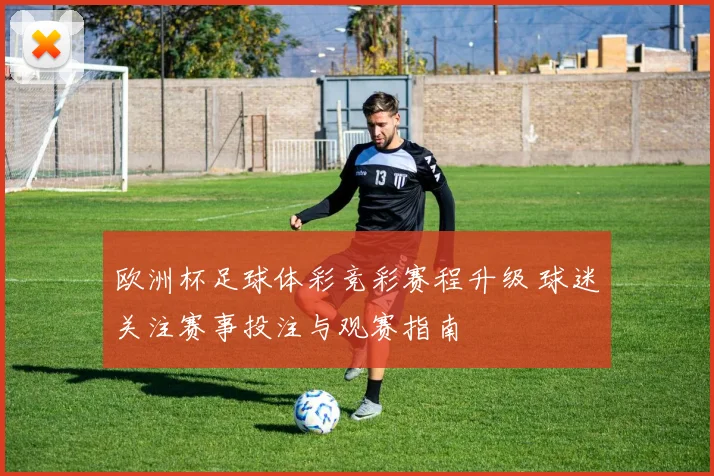 欧洲杯足球体彩竞彩赛程升级 球迷关注赛事投注与观赛指南