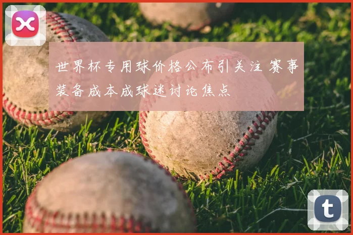 世界杯专用球价格公布引关注 赛事装备成本成球迷讨论焦点