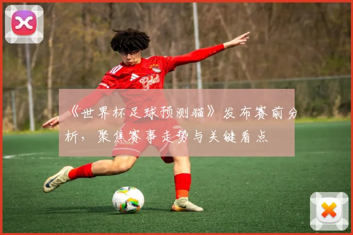 《世界杯足球预测猫》发布赛前分析，聚焦赛事走势与关键看点