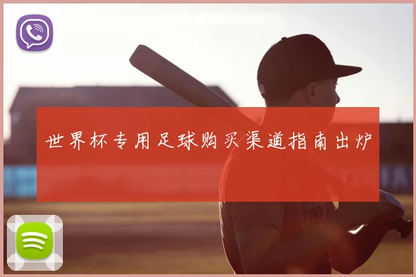 世界杯专用足球购买渠道指南出炉