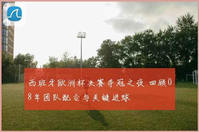 西班牙欧洲杯决赛夺冠之夜 回顾08年团队配合与关键进球