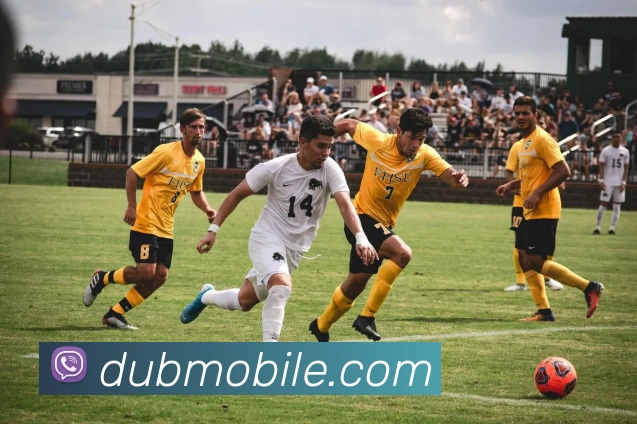 世界杯官网线上平台发展历程